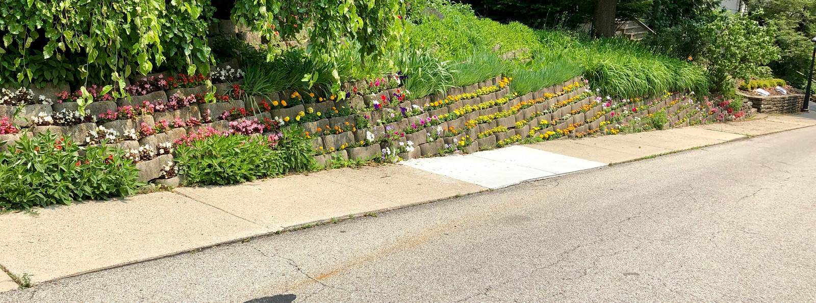 Terraced segmental retaining wall with flowering perennials on a residential hillside lot